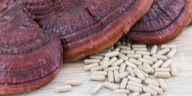 An edge of Reishi mushroom positioned by many white capsules