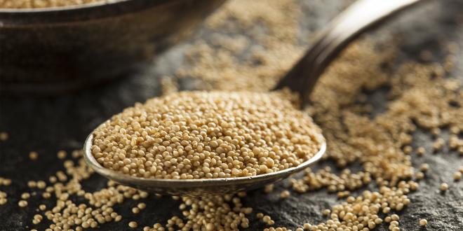 a spoonful of raw amaranth and a bowl of the ancient grain