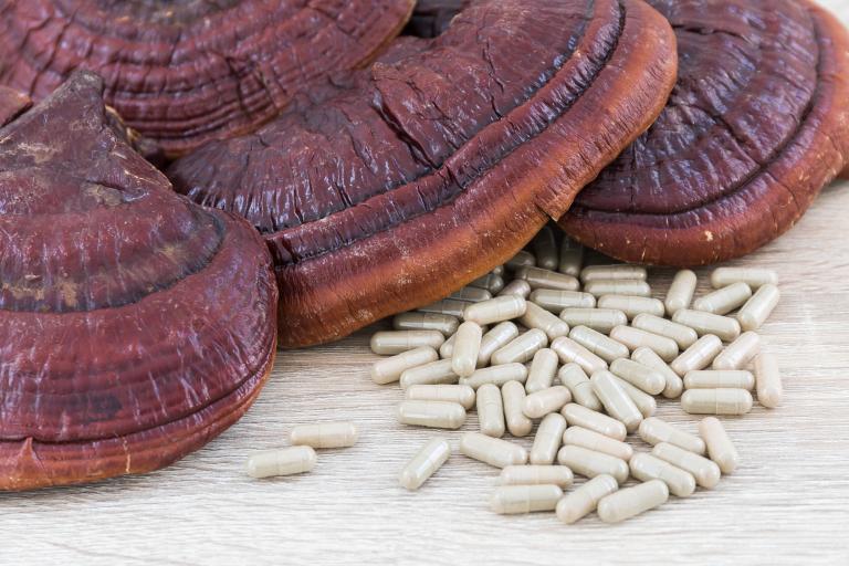 An edge of Reishi mushroom positioned by many white capsules